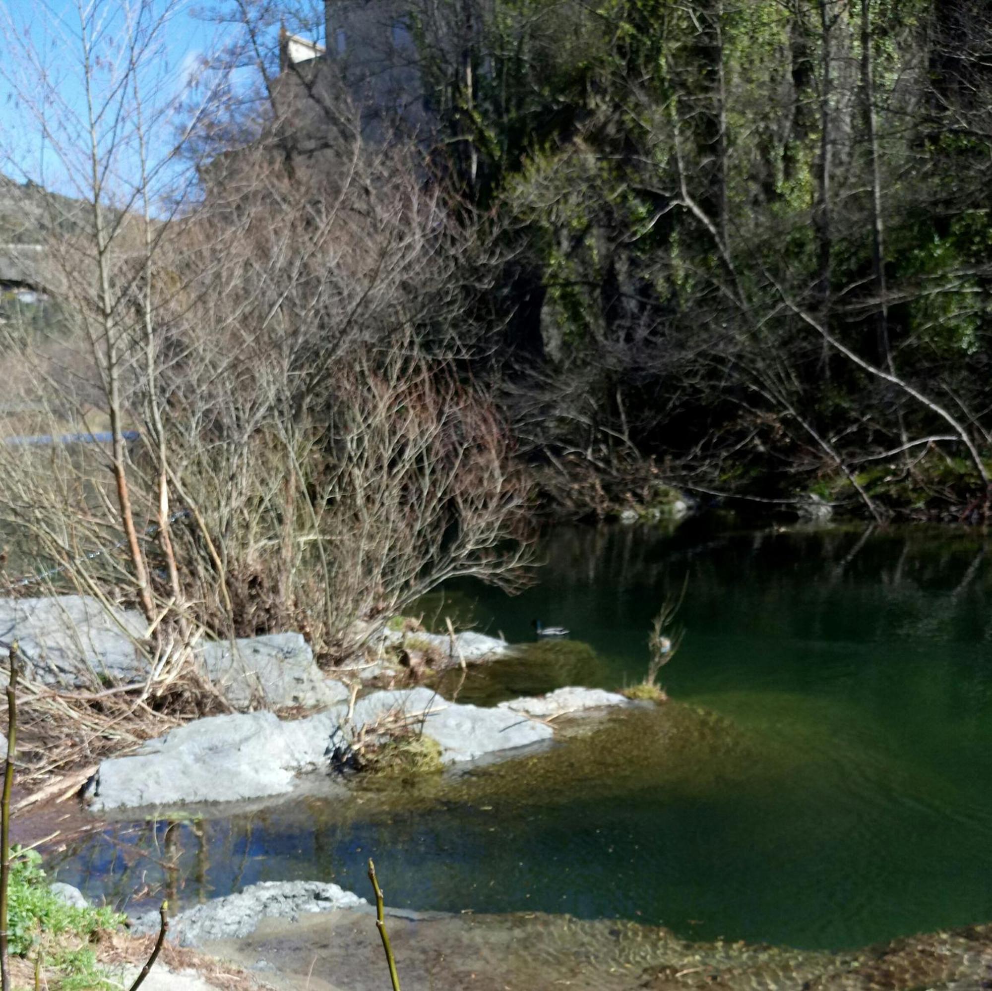 Le Moulin Aux Chandelles 2, Vacances & W-E, Vues Riviere, Montagne & Ville, Tout Confort Deconnecte, Eclairage Bougies, Connexions A 200M Au Centre Le Vigan Gite Les Amoureux De L'Arre, Randonnee Chemin De Saint-Guilhem-Le-Desert, Lire Profil Avant R Екстериор снимка