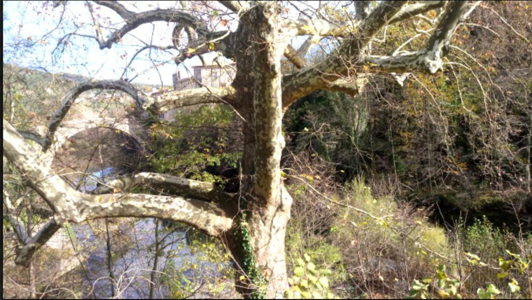 Le Moulin Aux Chandelles 2, Vacances & W-E, Vues Riviere, Montagne & Ville, Tout Confort Deconnecte, Eclairage Bougies, Connexions A 200M Au Centre Le Vigan Gite Les Amoureux De L'Arre, Randonnee Chemin De Saint-Guilhem-Le-Desert, Lire Profil Avant R Екстериор снимка
